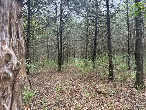 Tiny photo for 0 HWY DD, Truxton, MO 63381 (MLS # 25069289)