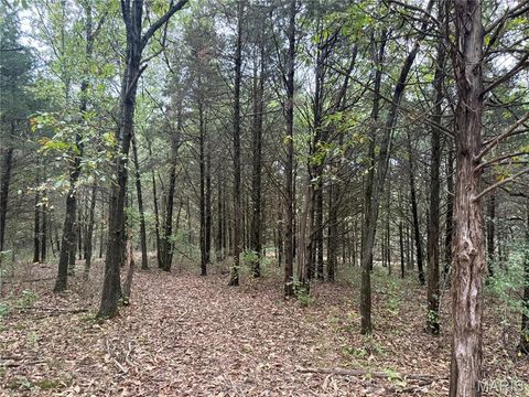 Tiny photo for 0 HWY DD, Truxton, MO 63381 (MLS # 25069289)