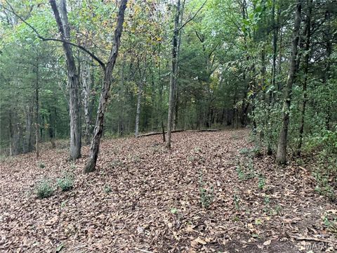 Tiny photo for 0 HWY DD, Truxton, MO 63381 (MLS # 25069289)