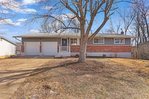 1006 Paula Drive Arnold MO 63010