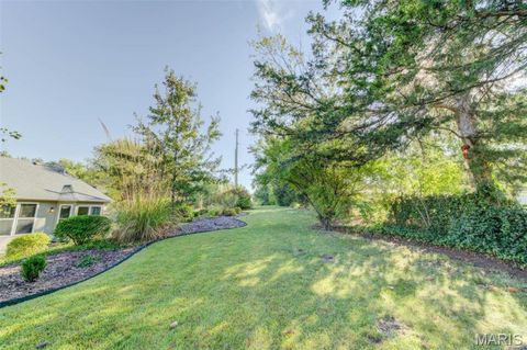 Tiny photo for 712 Spring Meadow Court, Wentzville, MO 63385 (MLS # 26003258)