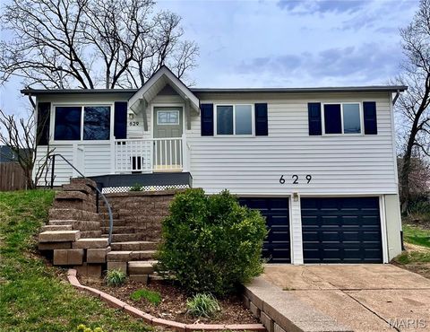 629 S Fillmore Avenue Kirkwood MO 63122