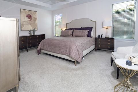 Tiny photo for 213 Westleigh Court, Wentzville, MO 63385 (MLS # 26011540)