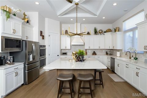 Tiny photo for 213 Westleigh Court, Wentzville, MO 63385 (MLS # 26011540)