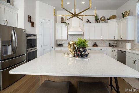 Tiny photo for 213 Westleigh Court, Wentzville, MO 63385 (MLS # 26011540)