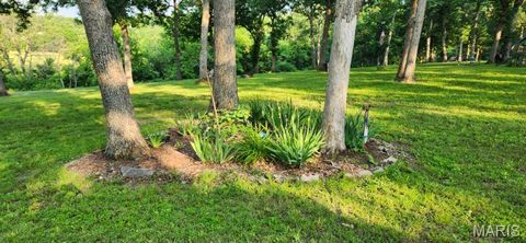 Tiny photo for 161 McIntyre Ln. (5+/- Acres), Silex, MO 63379 (MLS # 25065819)