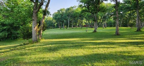 Tiny photo for 161 McIntyre Ln. (5+/- Acres), Silex, MO 63379 (MLS # 25065819)