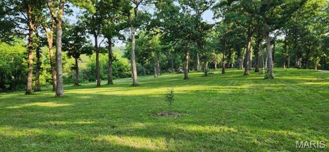 Photo of 161 McIntyre Ln. (5+/- Acres), Silex, MO 63379 (MLS # 25065819)