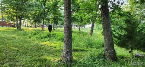 Tiny photo for 161 McIntyre Ln. (5+/- Acres), Silex, MO 63379 (MLS # 25065819)