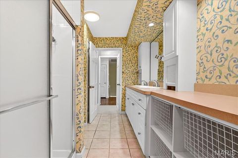 Tiny photo for 646 Hollywood Place, Webster Groves, MO 63119 (MLS # 25074325)