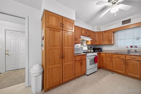 Tiny photo for 244 S Moore School Road, Troy, MO 63379 (MLS # 26012341)