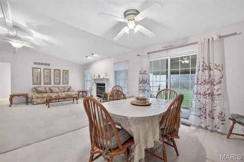 Tiny photo for 244 S Moore School Road, Troy, MO 63379 (MLS # 26012341)