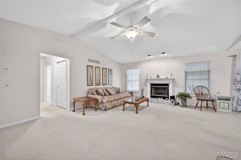 Tiny photo for 244 S Moore School Road, Troy, MO 63379 (MLS # 26012341)