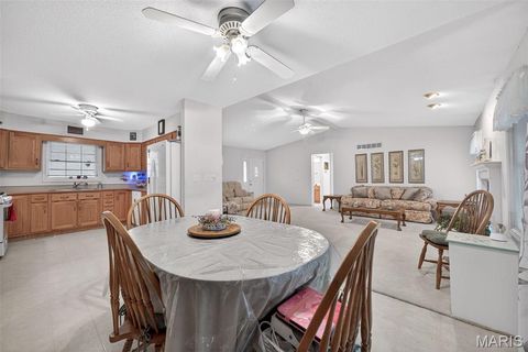 Tiny photo for 244 S Moore School Road, Troy, MO 63379 (MLS # 26012341)