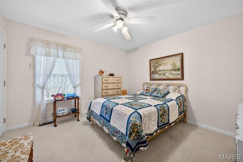 Tiny photo for 244 S Moore School Road, Troy, MO 63379 (MLS # 26012341)
