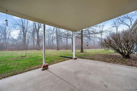 Tiny photo for 244 S Moore School Road, Troy, MO 63379 (MLS # 26012341)
