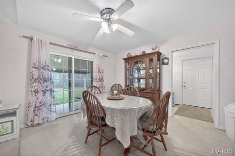 Tiny photo for 244 S Moore School Road, Troy, MO 63379 (MLS # 26012341)