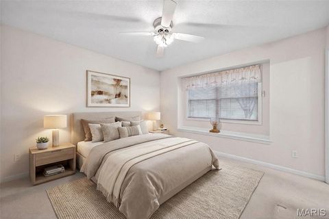 Tiny photo for 244 S Moore School Road, Troy, MO 63379 (MLS # 26012341)