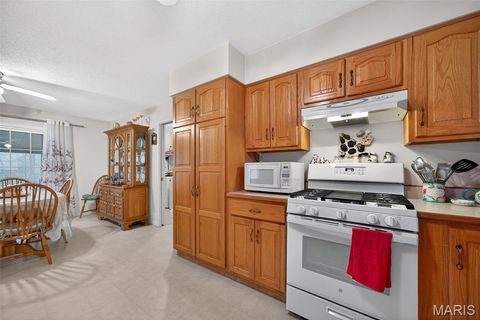 Tiny photo for 244 S Moore School Road, Troy, MO 63379 (MLS # 26012341)