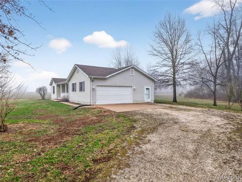 Tiny photo for 244 S Moore School Road, Troy, MO 63379 (MLS # 26012341)