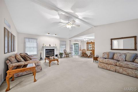Tiny photo for 244 S Moore School Road, Troy, MO 63379 (MLS # 26012341)