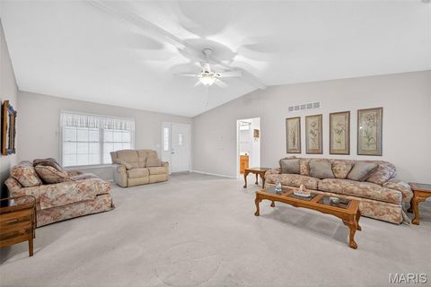Tiny photo for 244 S Moore School Road, Troy, MO 63379 (MLS # 26012341)