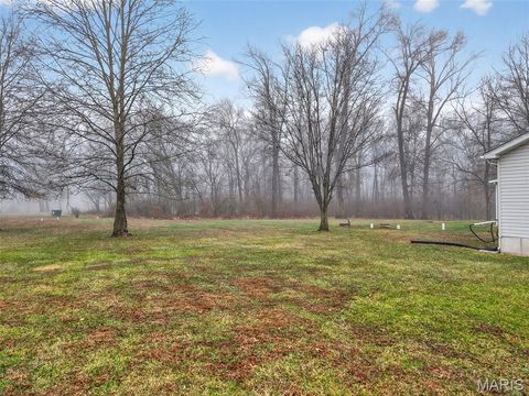 Tiny photo for 244 S Moore School Road, Troy, MO 63379 (MLS # 26012341)