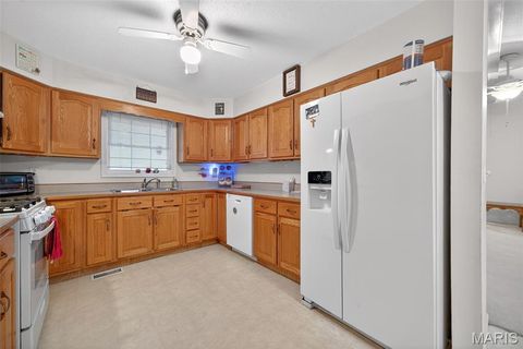 Tiny photo for 244 S Moore School Road, Troy, MO 63379 (MLS # 26012341)