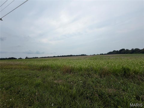 Tiny photo for 10 Hickory Lick Rd., Wright City, MO 63390 (MLS # 26062867)