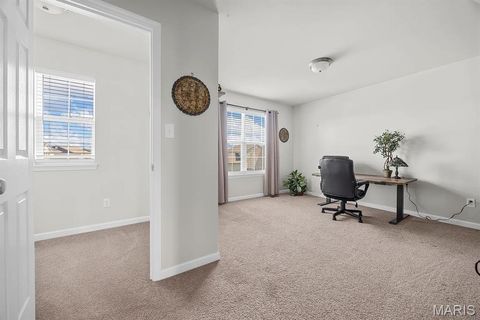 Tiny photo for 420 Westhaven View Court, Wentzville, MO 63385 (MLS # 25082274)