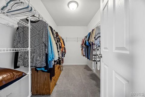 Tiny photo for 420 Westhaven View Court, Wentzville, MO 63385 (MLS # 25082274)