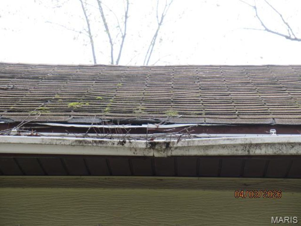 Photo of 10552 Earl Drive, Unincorporated, MO 63136 (MLS # 26020777)