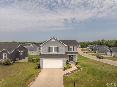463 Birchwood Drive Moscow Mills MO 63362
