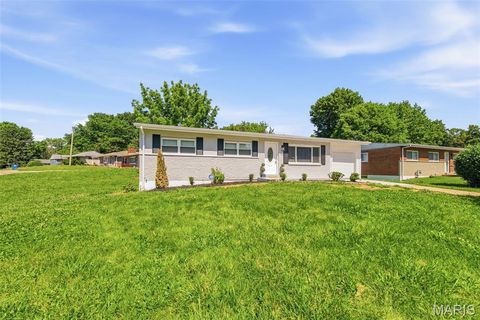 Tiny photo for 9701 Glen Owen Drive, St Louis, MO 63136 (MLS # 26032410)
