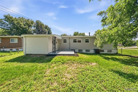 Tiny photo for 9701 Glen Owen Drive, St Louis, MO 63136 (MLS # 26032410)
