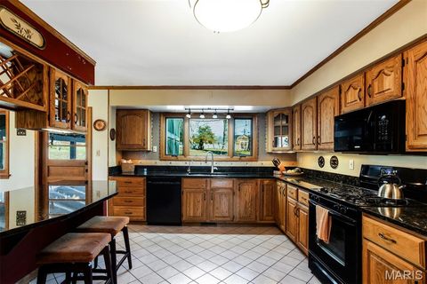 Tiny photo for 1321 Marbendale Court, Kirkwood, MO 63122 (MLS # 26002604)