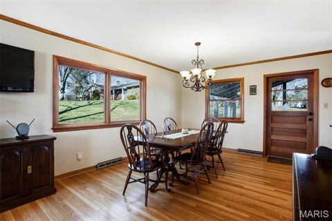 Tiny photo for 1321 Marbendale Court, Kirkwood, MO 63122 (MLS # 26002604)