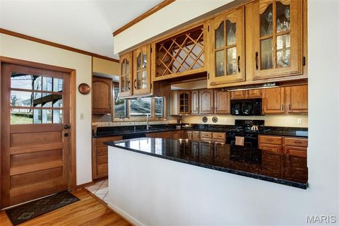 Tiny photo for 1321 Marbendale Court, Kirkwood, MO 63122 (MLS # 26002604)