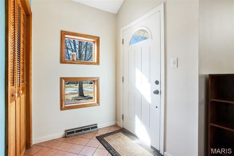 Tiny photo for 1321 Marbendale Court, Kirkwood, MO 63122 (MLS # 26002604)