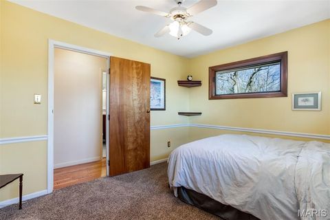 Tiny photo for 1321 Marbendale Court, Kirkwood, MO 63122 (MLS # 26002604)