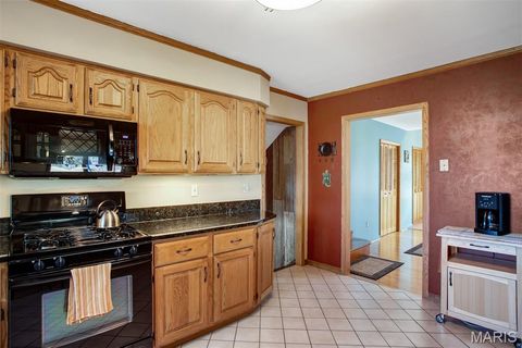 Tiny photo for 1321 Marbendale Court, Kirkwood, MO 63122 (MLS # 26002604)