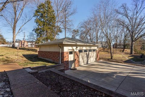 Tiny photo for 1321 Marbendale Court, Kirkwood, MO 63122 (MLS # 26002604)