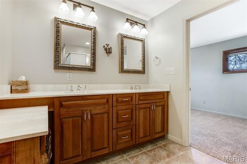 Tiny photo for 1321 Marbendale Court, Kirkwood, MO 63122 (MLS # 26002604)