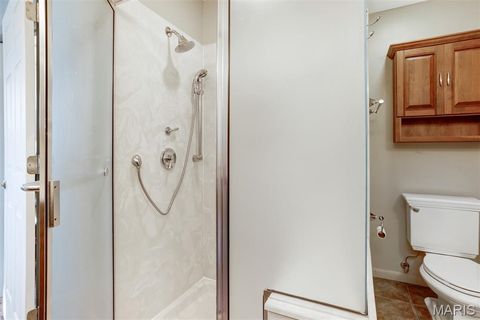 Tiny photo for 1321 Marbendale Court, Kirkwood, MO 63122 (MLS # 26002604)