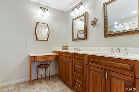 Tiny photo for 1321 Marbendale Court, Kirkwood, MO 63122 (MLS # 26002604)