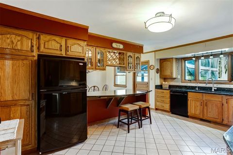 Tiny photo for 1321 Marbendale Court, Kirkwood, MO 63122 (MLS # 26002604)