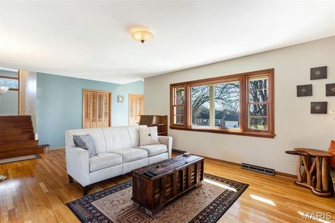 Tiny photo for 1321 Marbendale Court, Kirkwood, MO 63122 (MLS # 26002604)