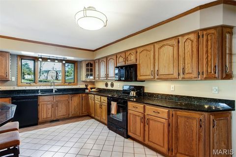 Tiny photo for 1321 Marbendale Court, Kirkwood, MO 63122 (MLS # 26002604)