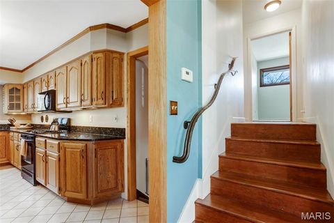 Tiny photo for 1321 Marbendale Court, Kirkwood, MO 63122 (MLS # 26002604)