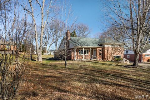 Photo of 1321 Marbendale Court, Kirkwood, MO 63122 (MLS # 26002604)